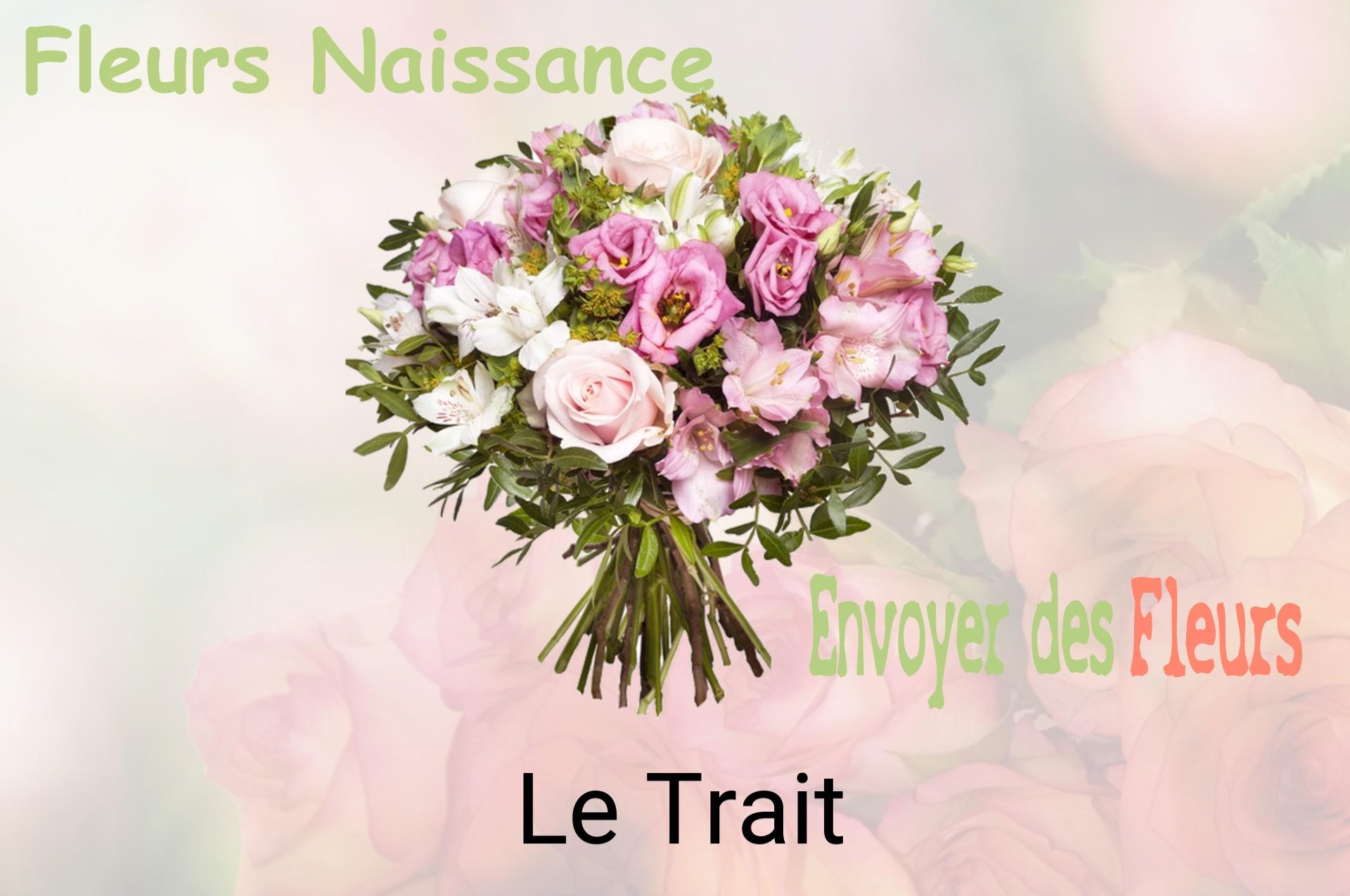 Bouquet de fleurs de naissance livré à Le Trait