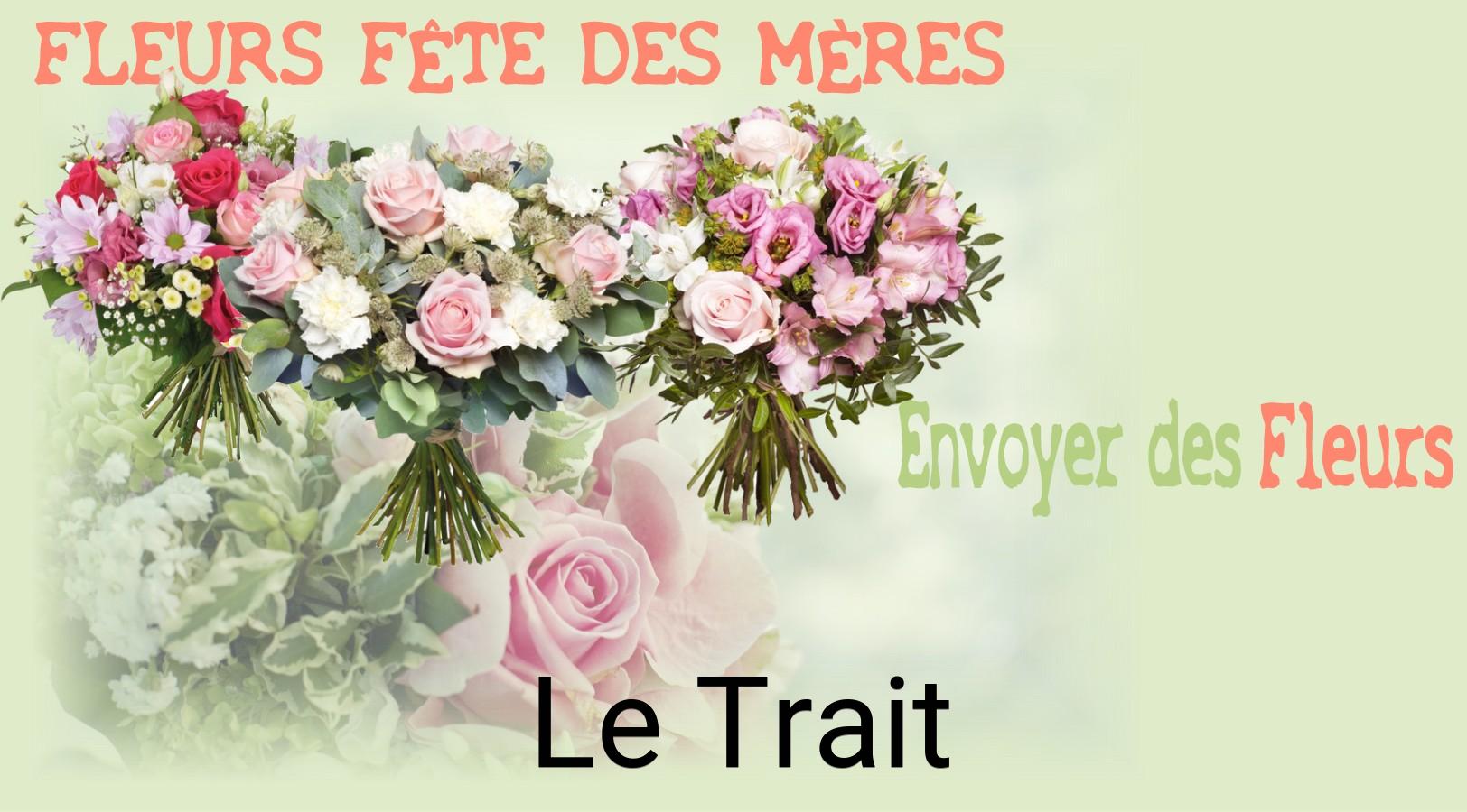 Bouquet de Fête des Mères livré à Le Trait